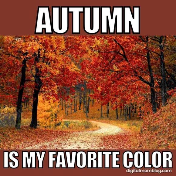 Legendary Outfitters l Hooded Flannel l Quilted l Snap up l Pocket l Unisex New - Picture 3 of 13